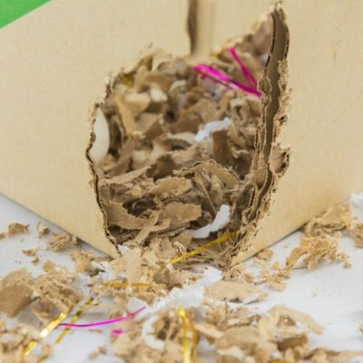 A great tip for real estate pest control is to check for signs of rodent infestations like chew marks on cardboard boxes where mice make their nests.