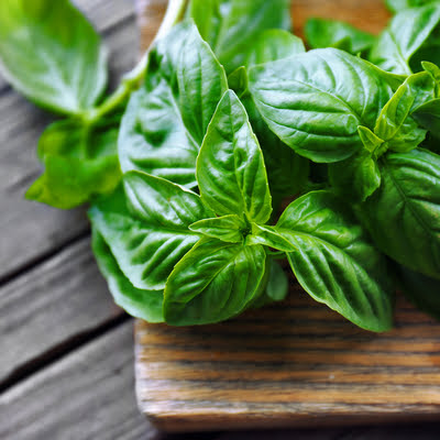 A clever way to boost your pest control is by planting pest-repelling plants like basil.